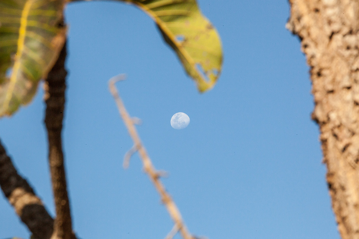 Pré-casamento com estilo