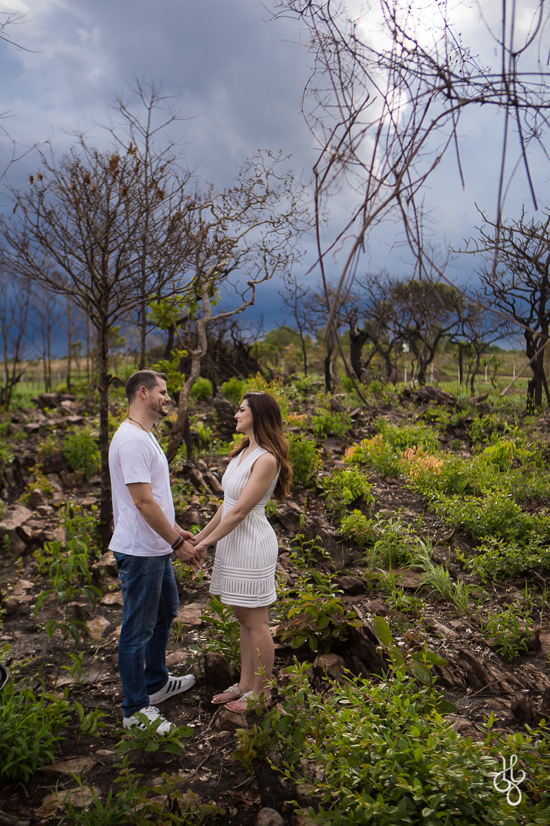 Agora o verde é novo! São brotos fortes cheios de vida.