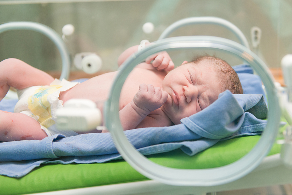 
Fotografia de parto; cobertura de parto; registro fotografico de parto; fotografa especializada em partos; parto cesárea; parto natural; parto humanizado; maternidade Sana Lucia