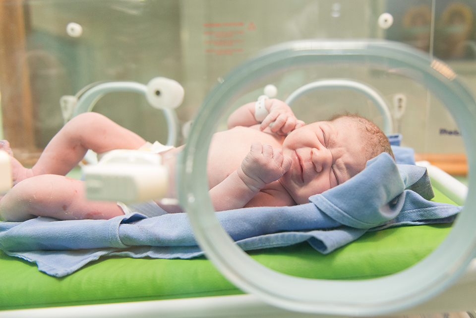 
Fotografia de parto; cobertura de parto; registro fotografico de parto; fotografa especializada em partos; parto cesárea; parto natural; parto humanizado; maternidade Sana Lucia