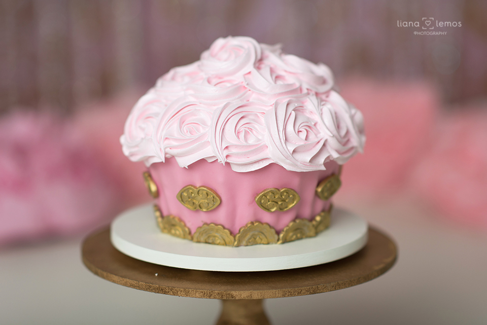 Ensaio-infantil; fotografia-de-acompanhamento; acompanhamento-de-bebes; fotografia-infantil; estúdio-especializado-em-fotografia-infantil; fotografa-infantil; bebes-lindos; ensaio-com-bebês; 
fotografia-de-crianças; cake-smash; smash-the-cake; liana-lemos