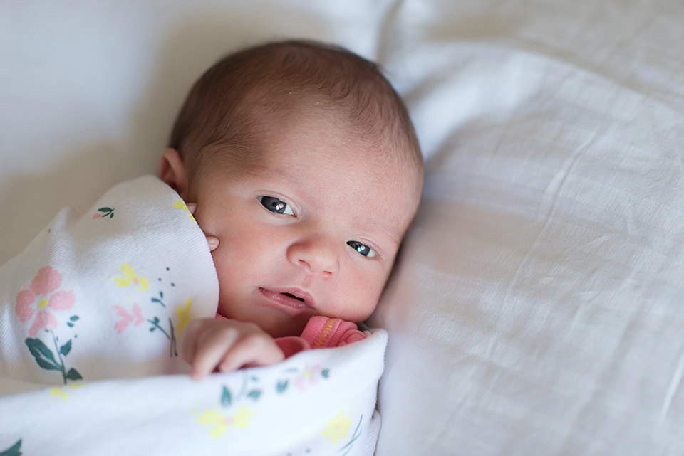 Fotografa-de-familia; fotografa-de-familia-no-rio-de-janeiro; fotografa-lifestyle; fotografa-de-bebes; fotografia-lifestyle; lifestyle; newborn-lifestyle; gestante-lifestyle