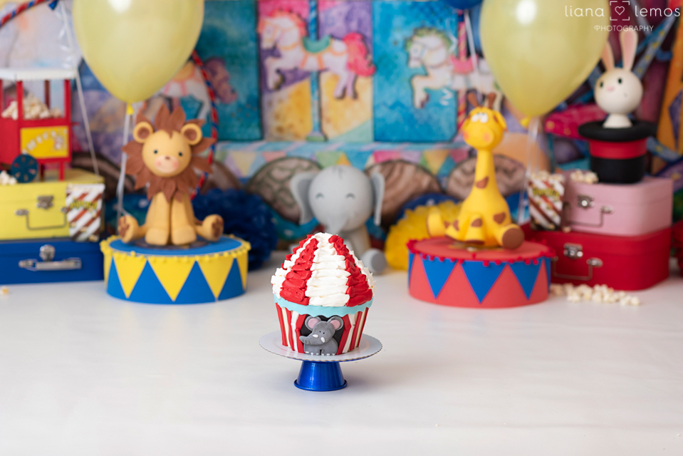 Ensaio-infantil; fotografia-de-acompanhamento; acompanhamento-de-bebes; fotografia-infantil; estúdio-especializado-em-fotografia-infantil; fotografa-infantil; bebes-lindos; ensaio-com-bebês; 
fotografia-de-crianças; cake-smash; smash-the-cake; liana-lemos