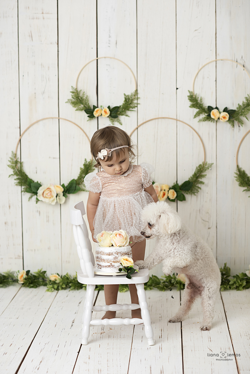 #cakesmash #smashthecake