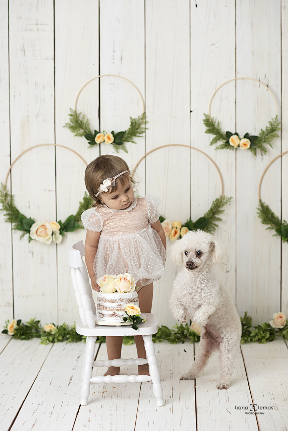 #cakesmash #smashthecake