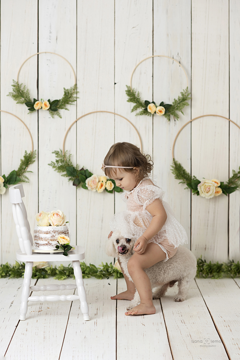 #cakesmash #smashthecake