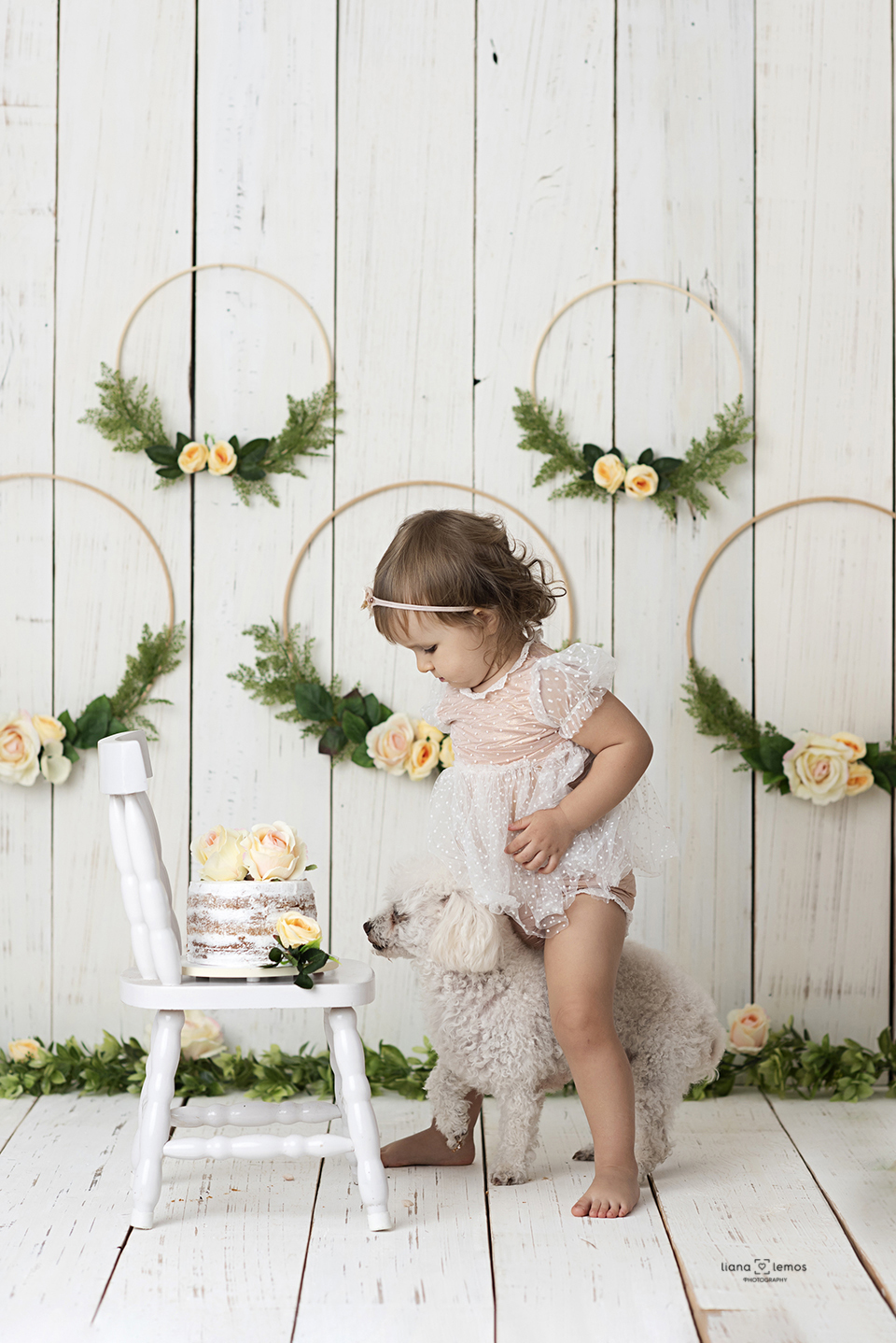 #cakesmash #smashthecake