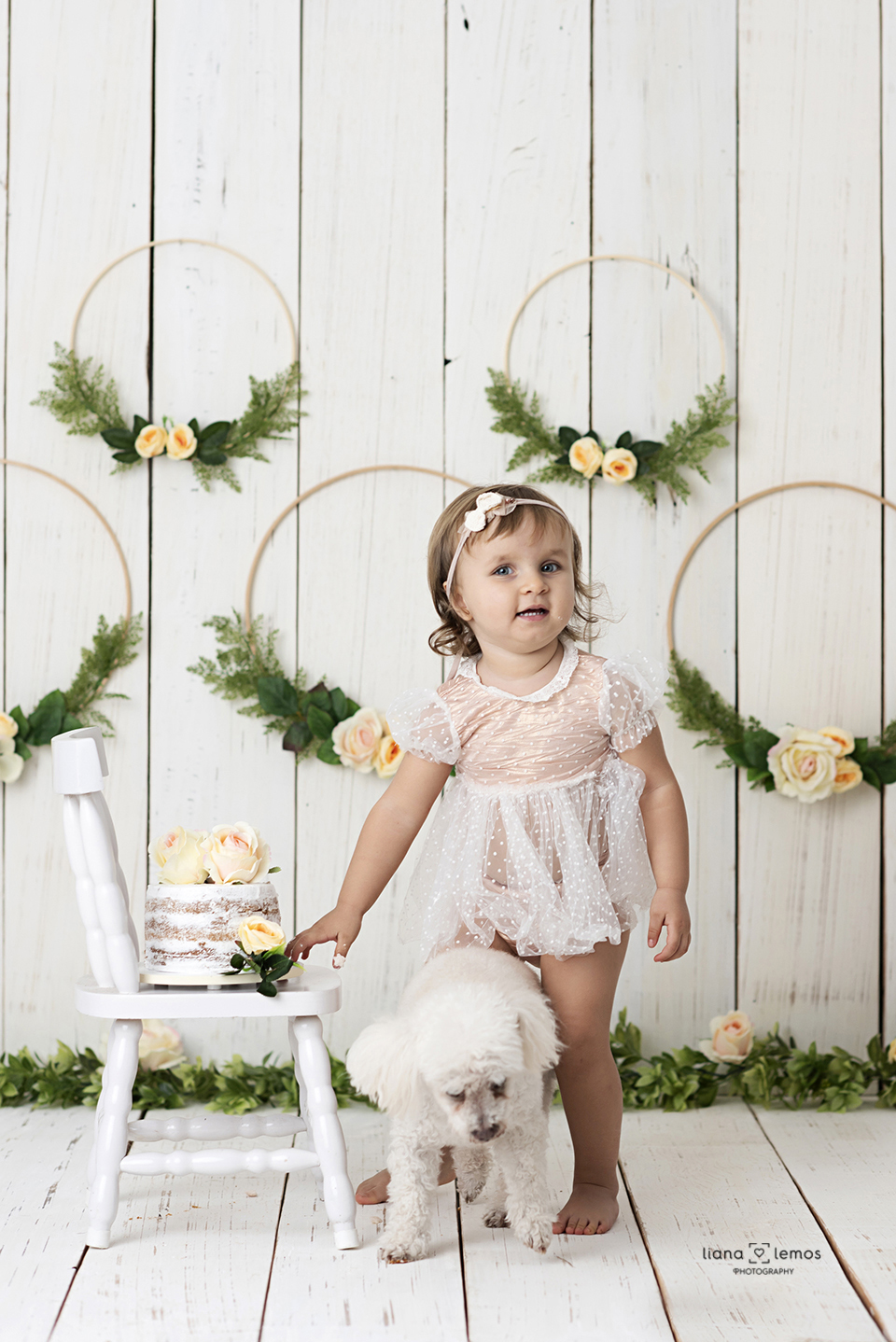 #cakesmash #smashthecake