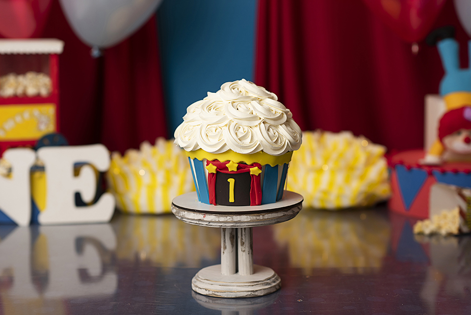 Smash_the_cake_circo