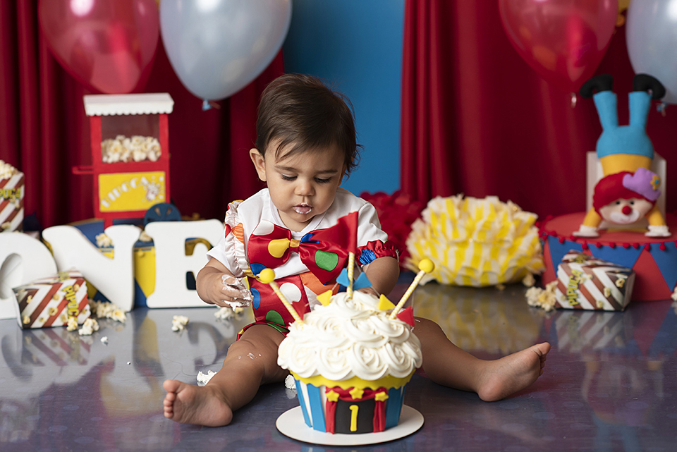 Smash_the_cake_circo