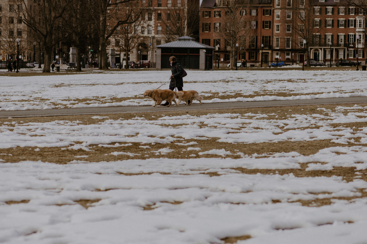 Ensaio Casal Boston Fotografia SuperClick