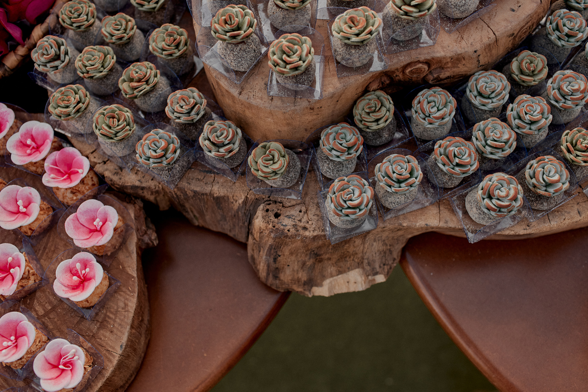 Casamento de dia, fotografia de casamento, superclick, noivas