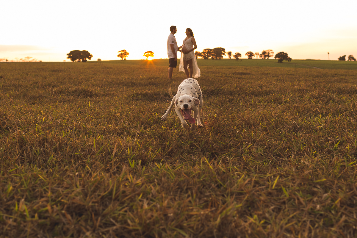 ensaio gestante, ensaio gestante recife, ensaio gestante casa de campo, fotografia de gestante, fotografia de gestante recife, gêmeos, casa de campo, natureza, amor, pregnant, gravida, sunset, por do sol