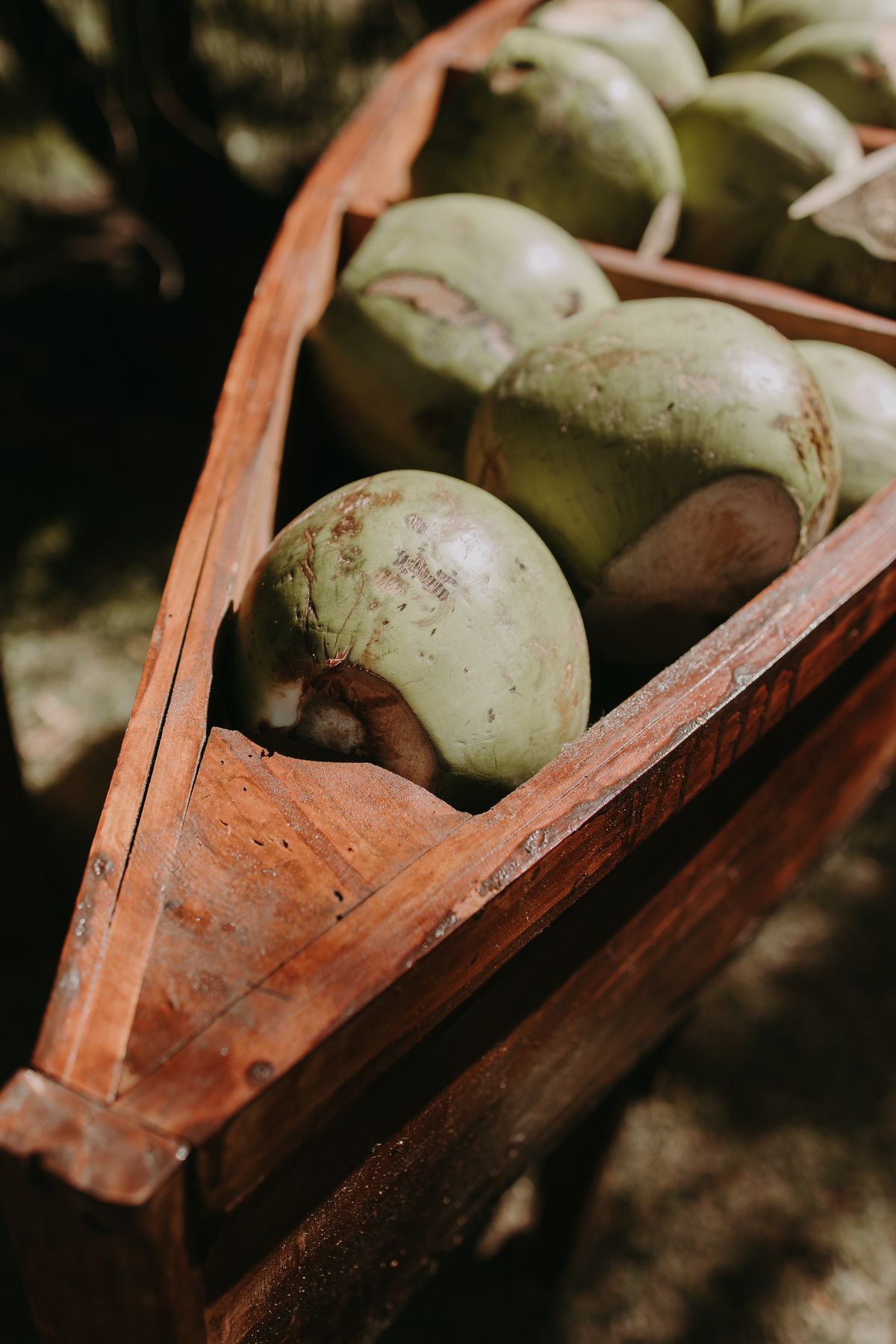 Casamento Recife, casamento de dia, noiva, fotografia de casamento, superclick, garrido