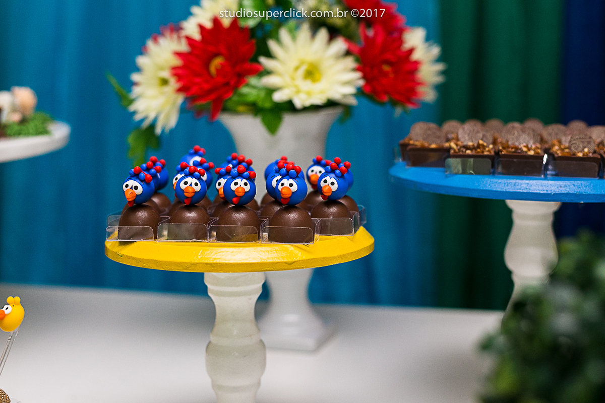 aniversario infantil 1 aninho do guilherme fotos do super click
