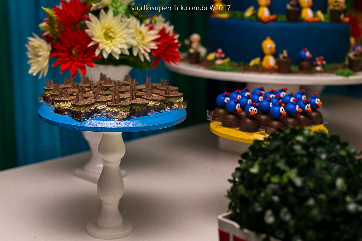 aniversario infantil 1 aninho do guilherme fotos do super click