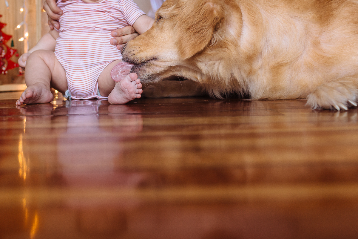 Fotografo de familia Recife, Ensaio de familia Recife, Ensaio Patrícia e Rodrigo, Ensaio Lifestyle Recife