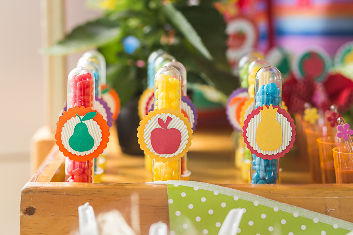 Fotógrafo de gestante Recife, Fotografo de Familia Recife, Fotografo de Aniversário Recife, Fotografia infantil, Fotografia de familia Recife