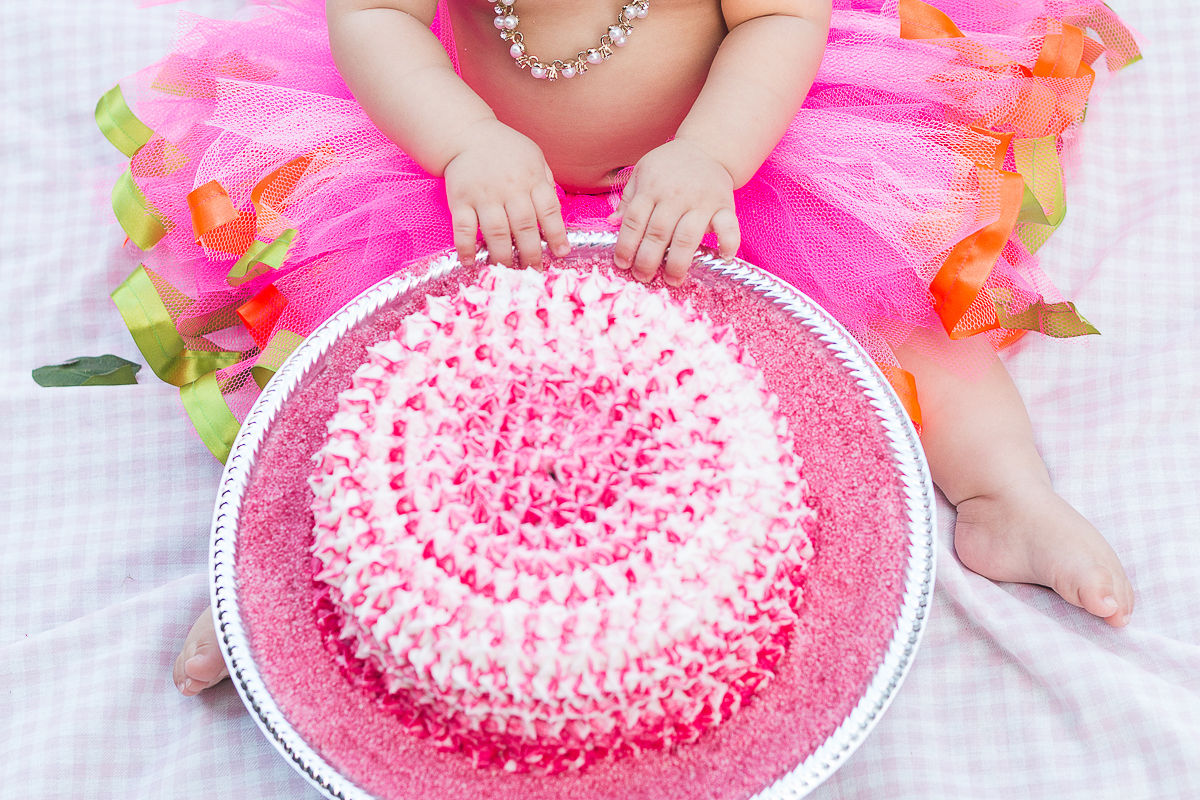 Fotógrafo de Familia, Fotografo de Gestante Recife, Ensaio Familia Recife, Fotografia de Familia Recife, Parque da Jaqueira, Smash the Cake