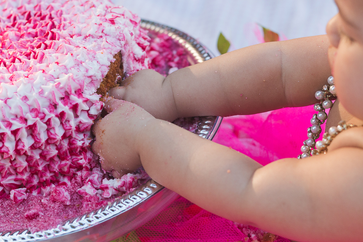 Fotógrafo de Familia, Fotografo de Gestante Recife, Ensaio Familia Recife, Fotografia de Familia Recife, Parque da Jaqueira, Smash the Cake