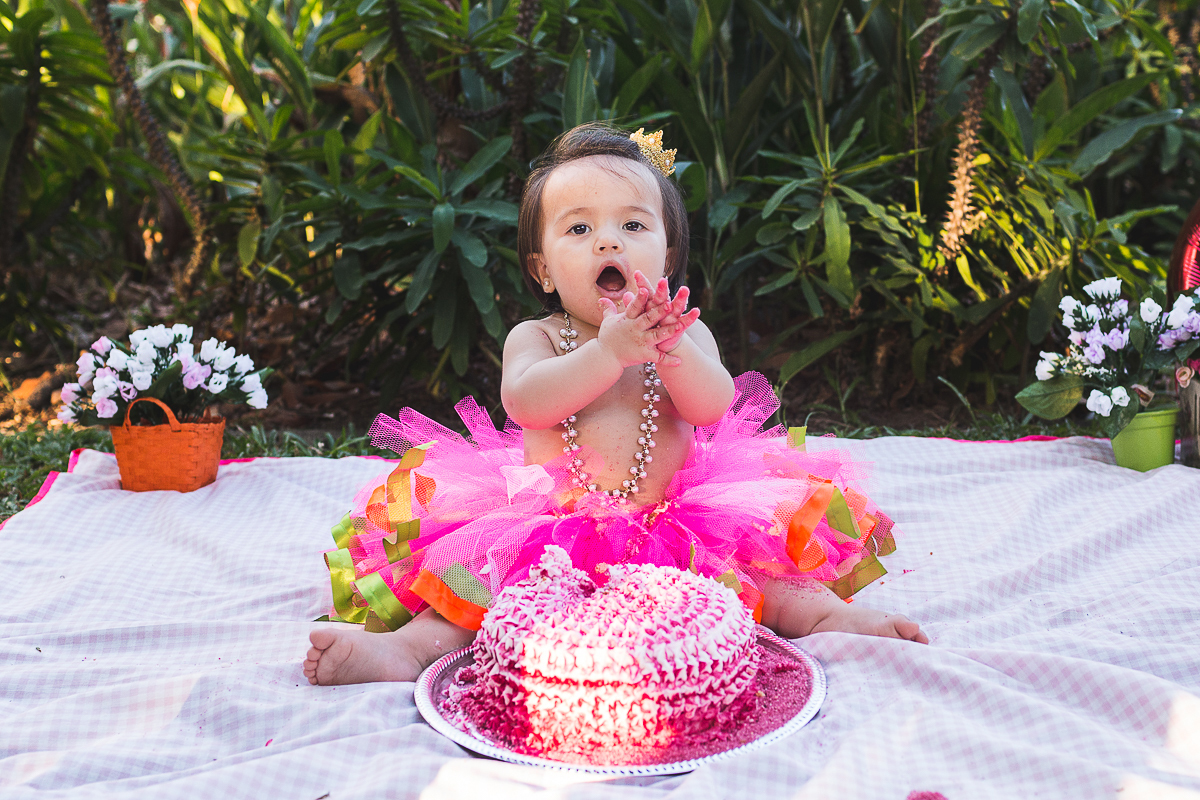 Fotógrafo de Familia, Fotografo de Gestante Recife, Ensaio Familia Recife, Fotografia de Familia Recife, Parque da Jaqueira, Smash the Cake