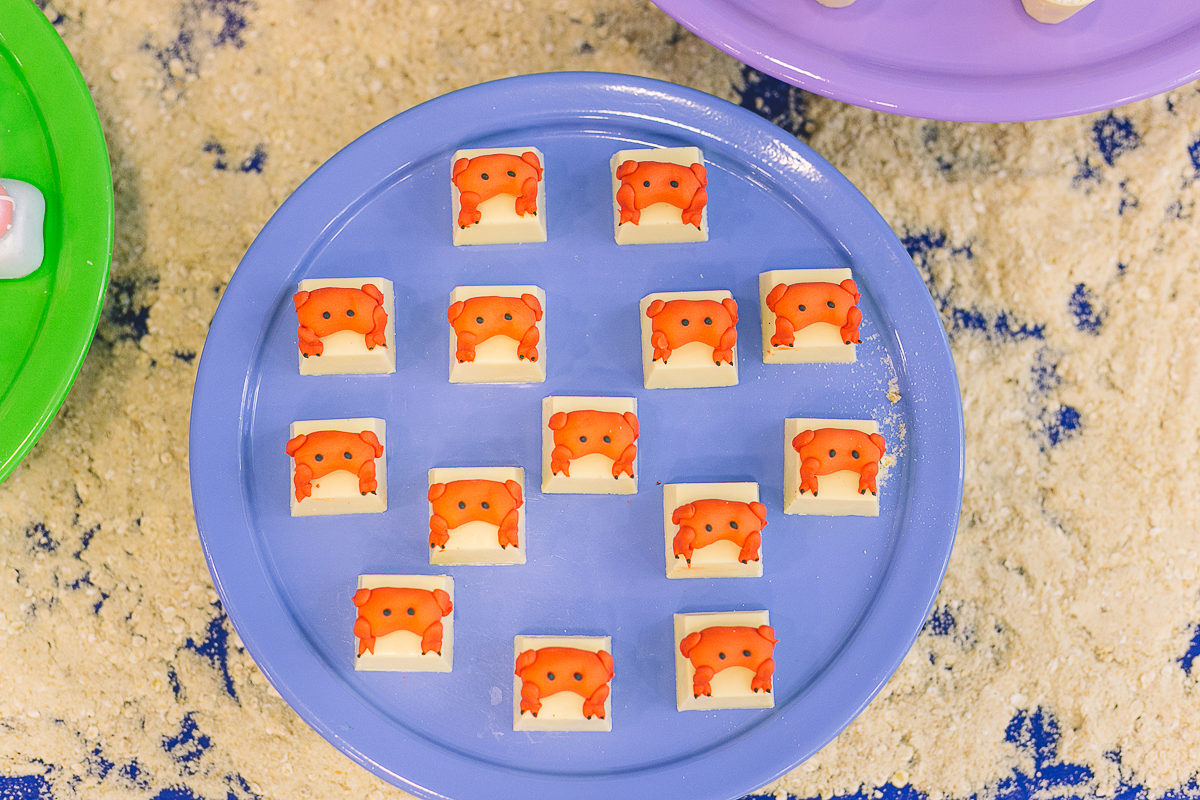 Fotógrafo de Familia Recife, Ensaio Familia Recife, Aniversário Infantil Recife, Fotografia de Familia Recife, Super Click, Claudio Cerri