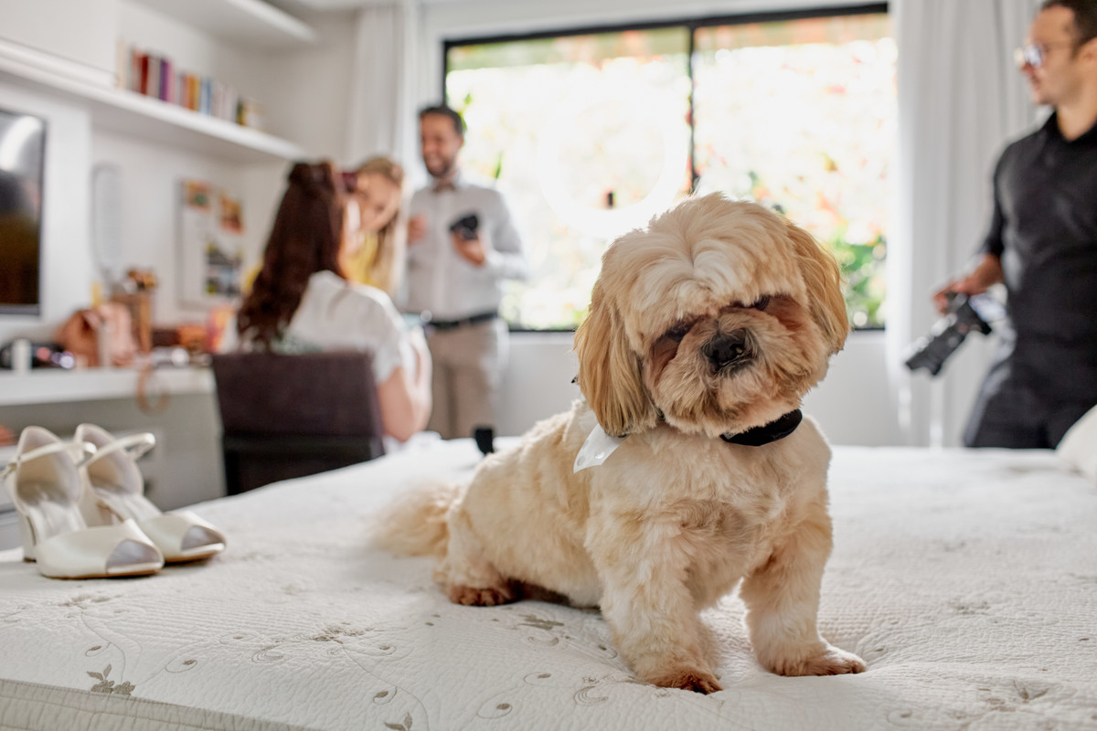 Casamento Ju e Ari Fotografia de Casamento Recife Recepção Di Branco Fotografia SuperClick