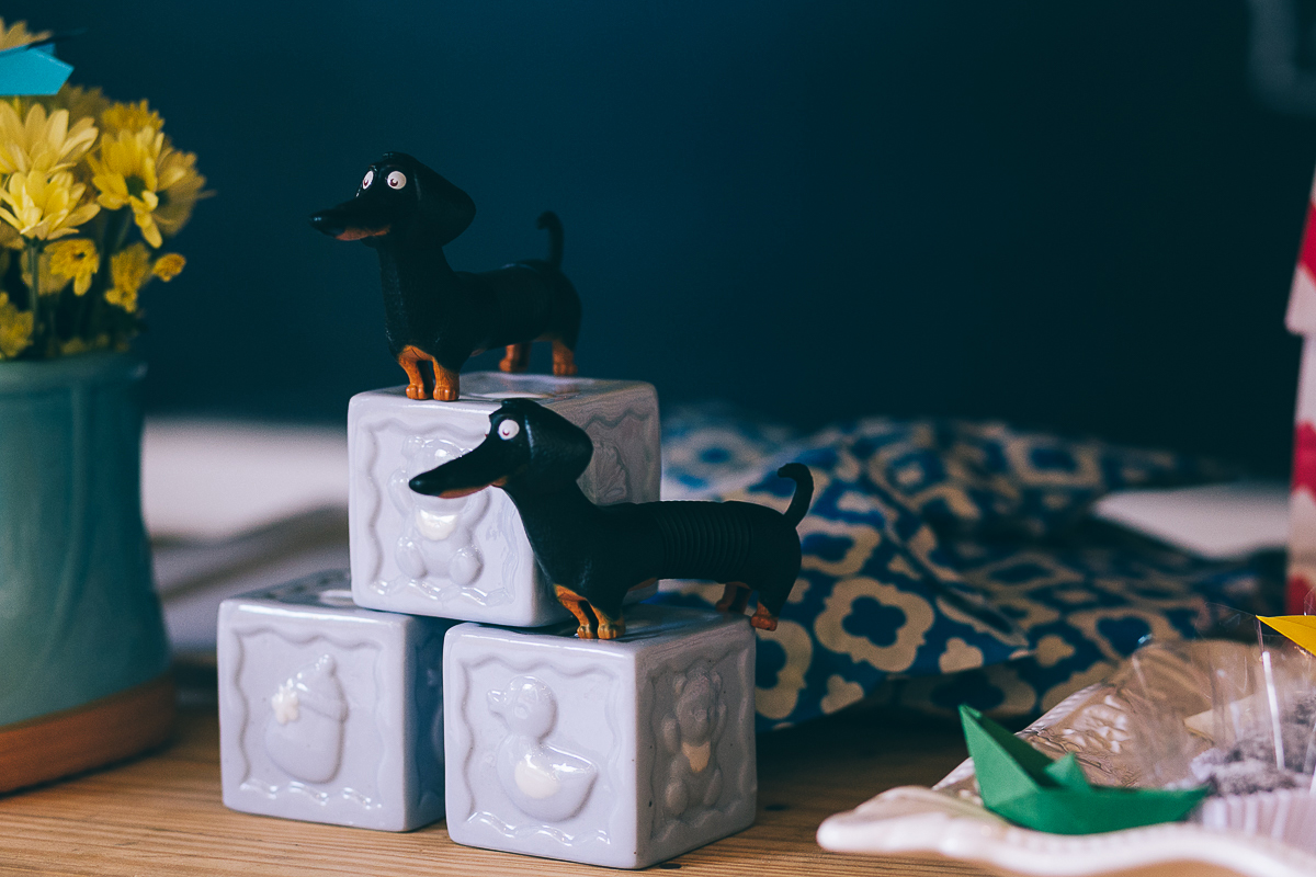 aniversario infantil 1 aninho do estevão no buffer no quintal fotos do super click