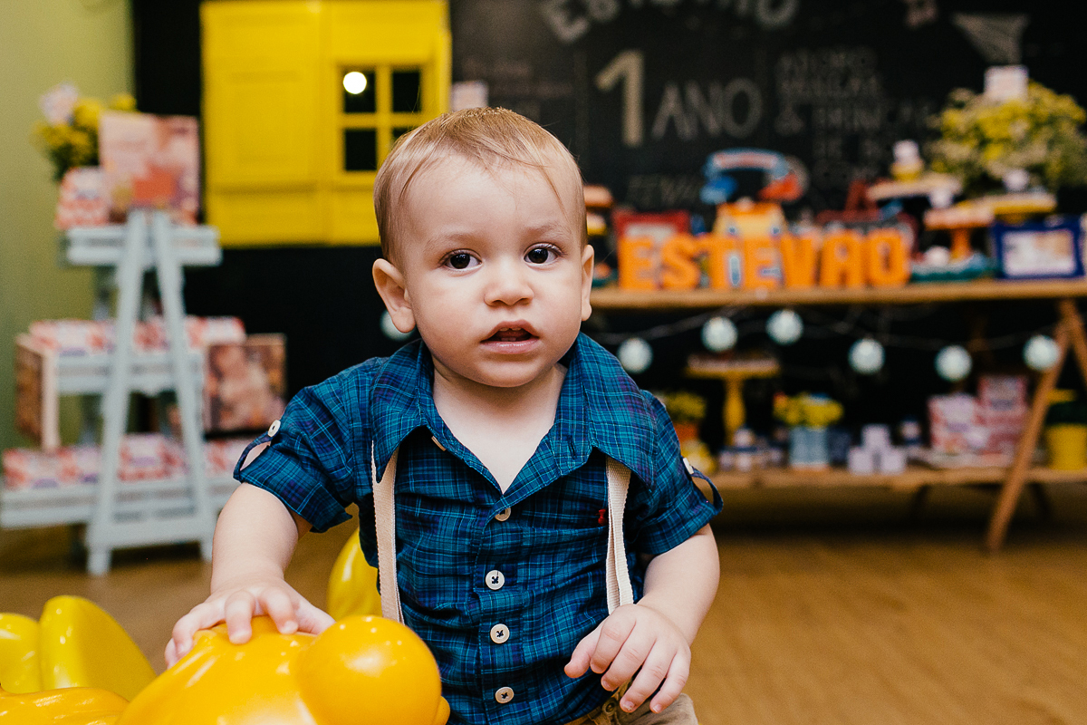 aniversario infantil 1 aninho do estevão no buffer no quintal fotos do super click