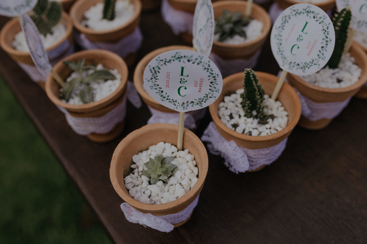 mini wedding, casamento de dia, sitio horizonte azul, por do sol, casamento Recife, Fotografia e Filme SuperClick 