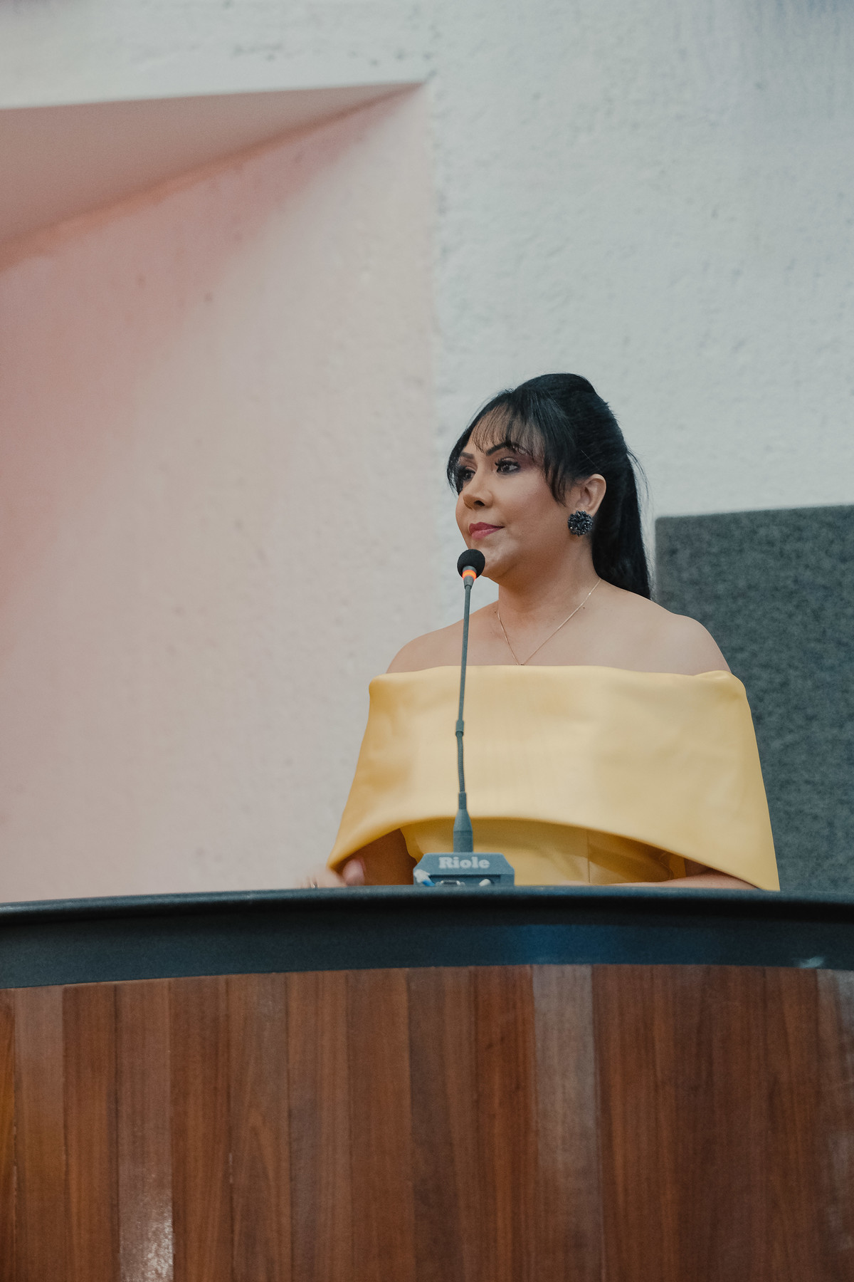 corporativo, deputados, assembleia, cerimonia de posse, fotografo premiado, ensaio, politica, fotografo de politico, palmas, tocantins, ensaio político, glauber, glauber matos, matos, estudio, fotografo em palmas, fotografia, publicidade