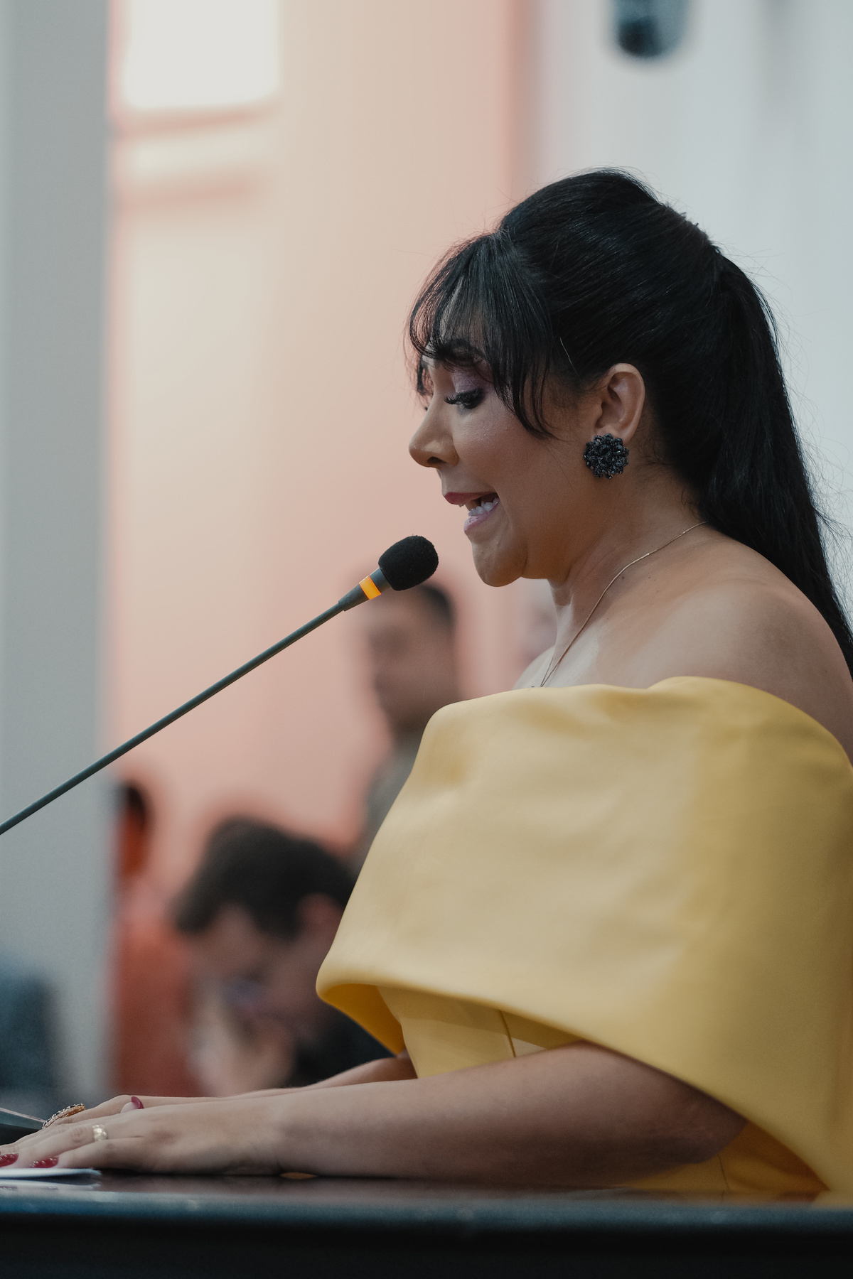 corporativo, deputados, assembleia, cerimonia de posse, fotografo premiado, ensaio, politica, fotografo de politico, palmas, tocantins, ensaio político, glauber, glauber matos, matos, estudio, fotografo em palmas, fotografia, publicidade