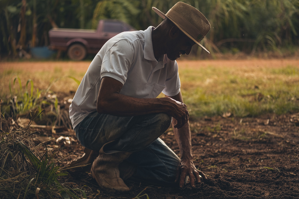 banana, bananal, produção, produtor, glauber, glauber matos, glauber matos fotografia, planta, senar, senar tocantins, cadeia produtiva, terra, trabalhador, brasileiro, publicidade, estudo de fotografia, palmas, tocantins