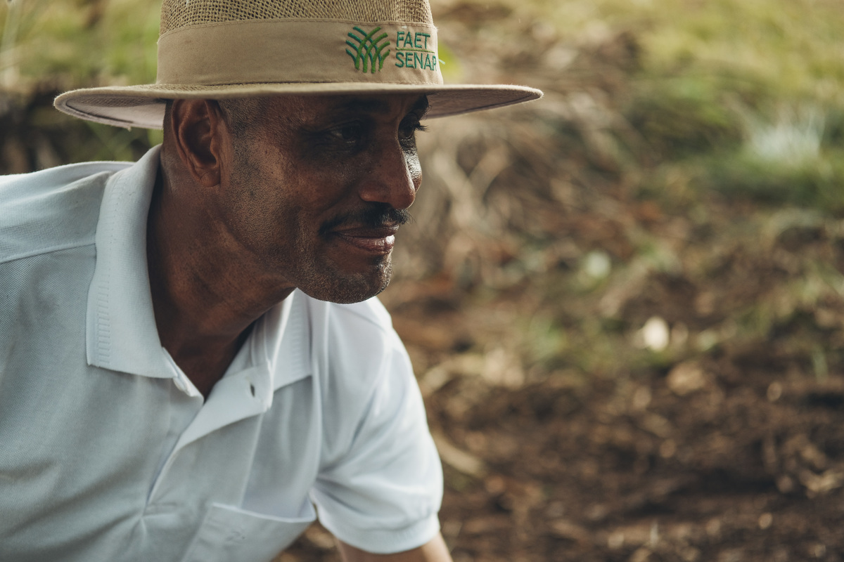 banana, bananal, produção, produtor, glauber, glauber matos, glauber matos fotografia, planta, senar, senar tocantins, cadeia produtiva, terra, trabalhador, brasileiro, publicidade, estudo de fotografia, palmas, tocantins