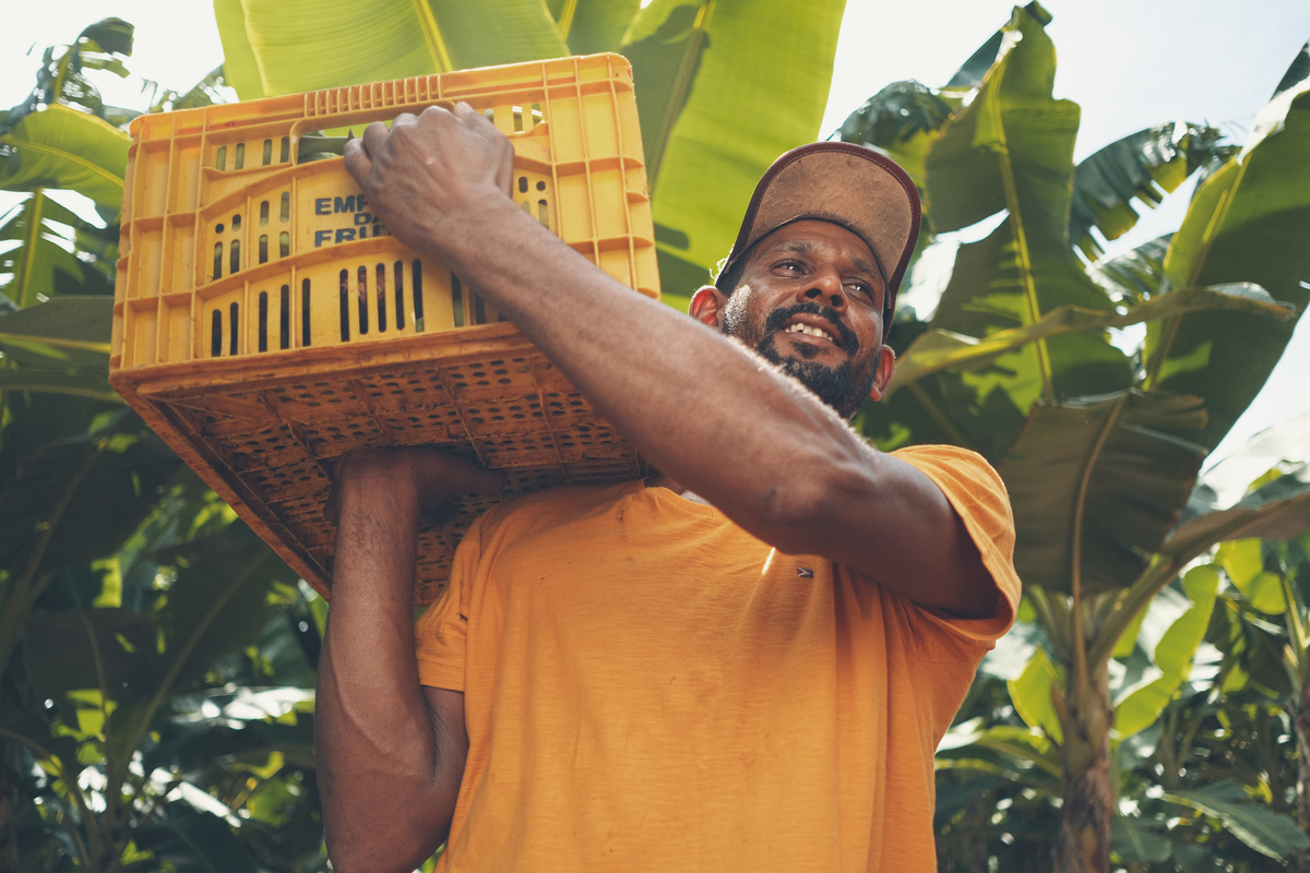 banana, bananal, produção, produtor, glauber, glauber matos, glauber matos fotografia, planta, senar, senar tocantins, cadeia produtiva, terra, trabalhador, brasileiro, publicidade, estudo de fotografia, palmas, tocantins