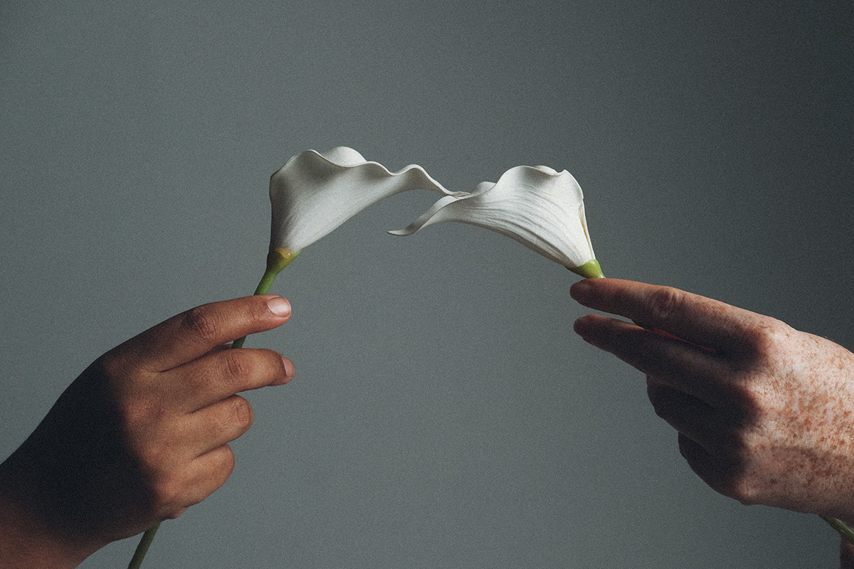 beleza, mulheres, mulher, preta, ruiva, cabelo cacheado, editorial, palmas, tocantins, copo de leite, ensaio de estudio, fotogrado premiado, beauty, publicidade, cabelo,