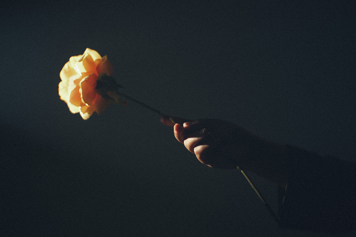 beleza, mulheres, mulher, preta, ruiva, cabelo cacheado, editorial, palmas, tocantins, copo de leite, ensaio de estudio, fotogrado premiado, beauty, publicidade, cabelo,