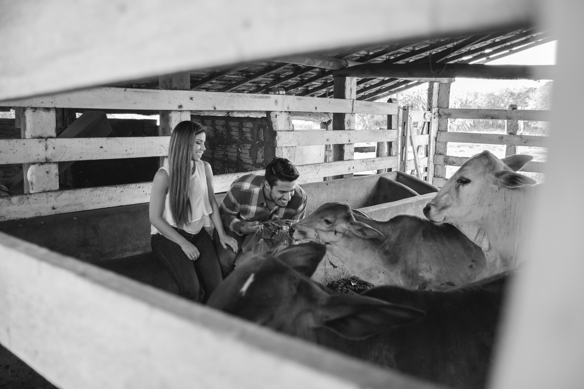 fotografo de casamento Jau Gustavo Quagliato