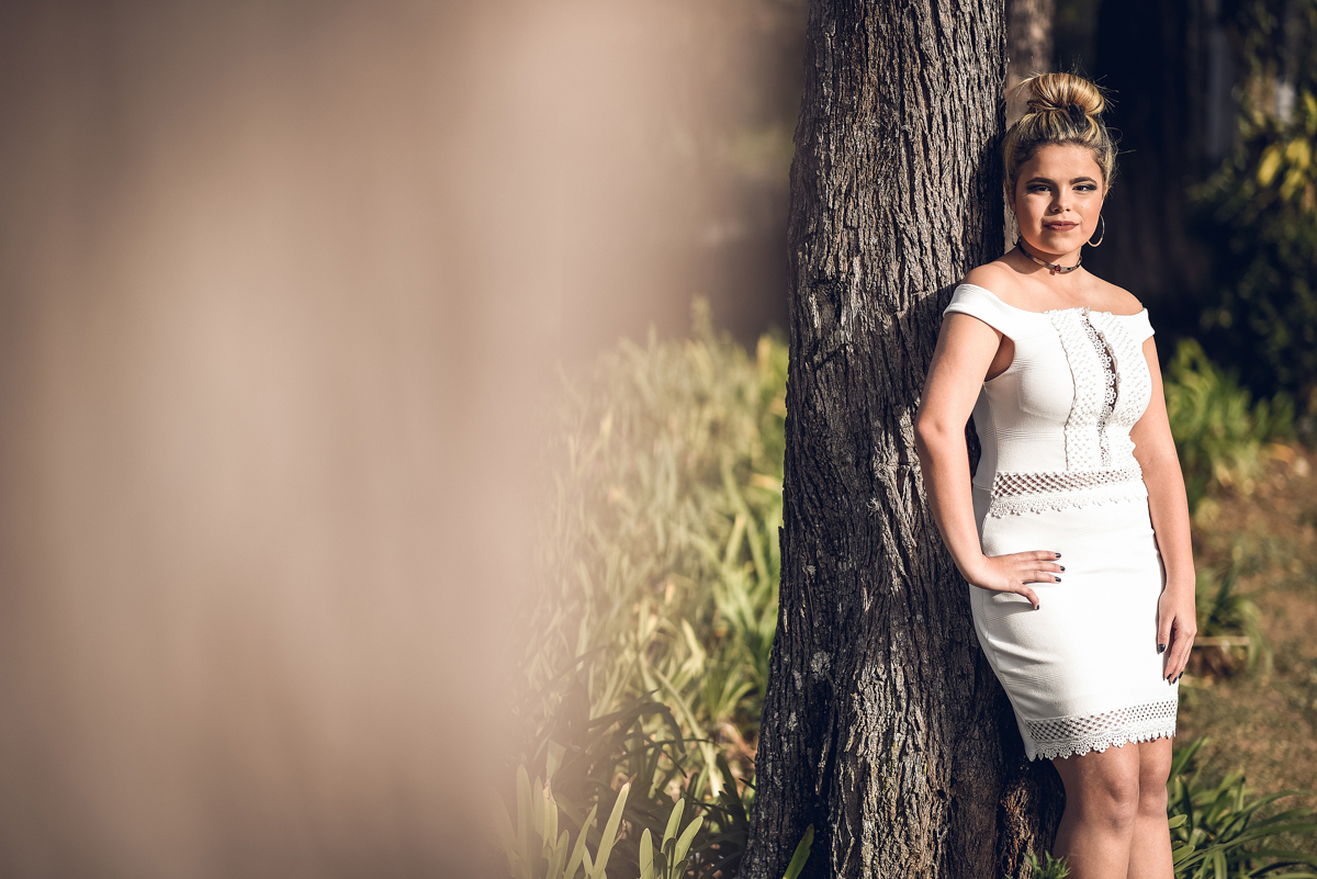 Book 15 anos Rayra Parque da lajinha Juiz de Fora