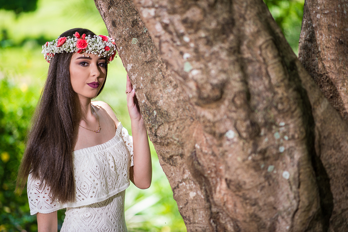 book 15 anos Hotel fazenda Santa Helena