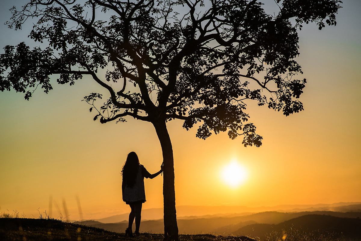 book 15 anos aeroporto juiz de fora book noturno 15 anos