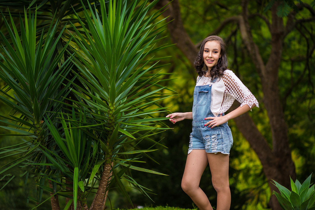 book 15 anos hotel fazenda Santa Helena Simão Pereira