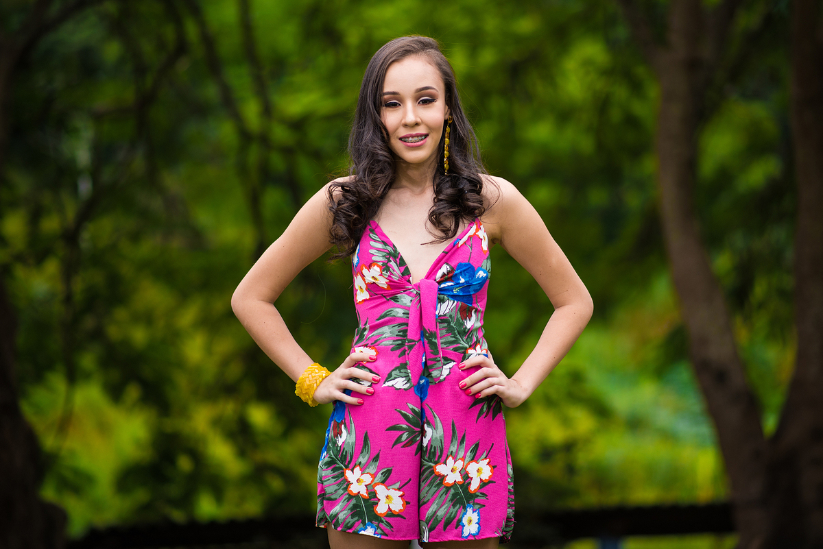 book 15 anos hotel fazenda Santa Helena Simão Pereira