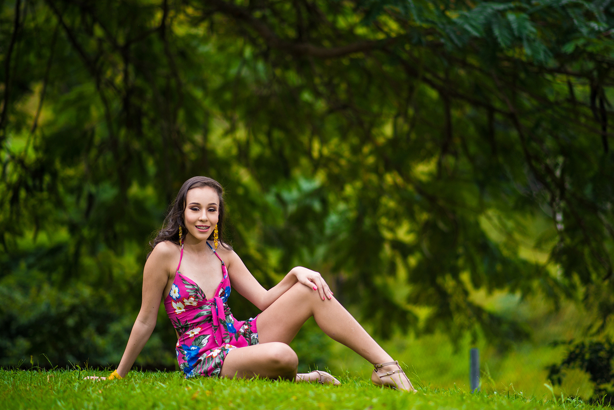 book 15 anos hotel fazenda Santa Helena Simão Pereira