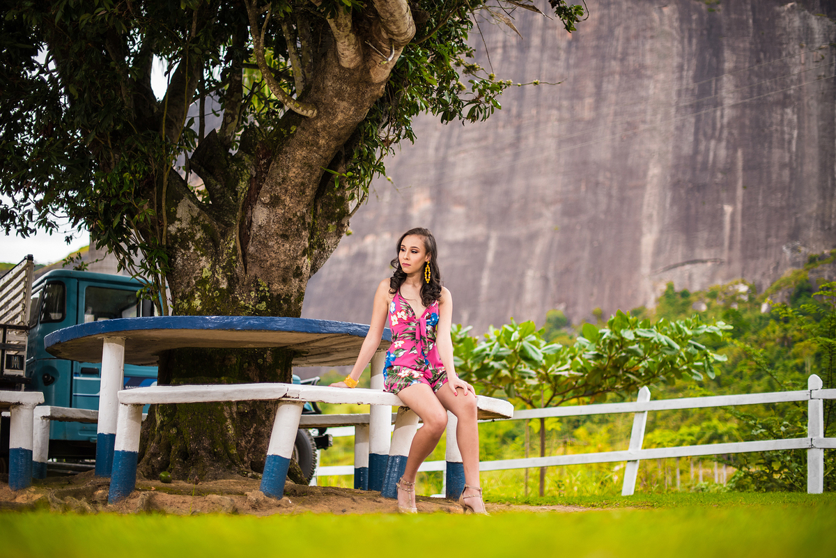 book 15 anos hotel fazenda Santa Helena Simão Pereira