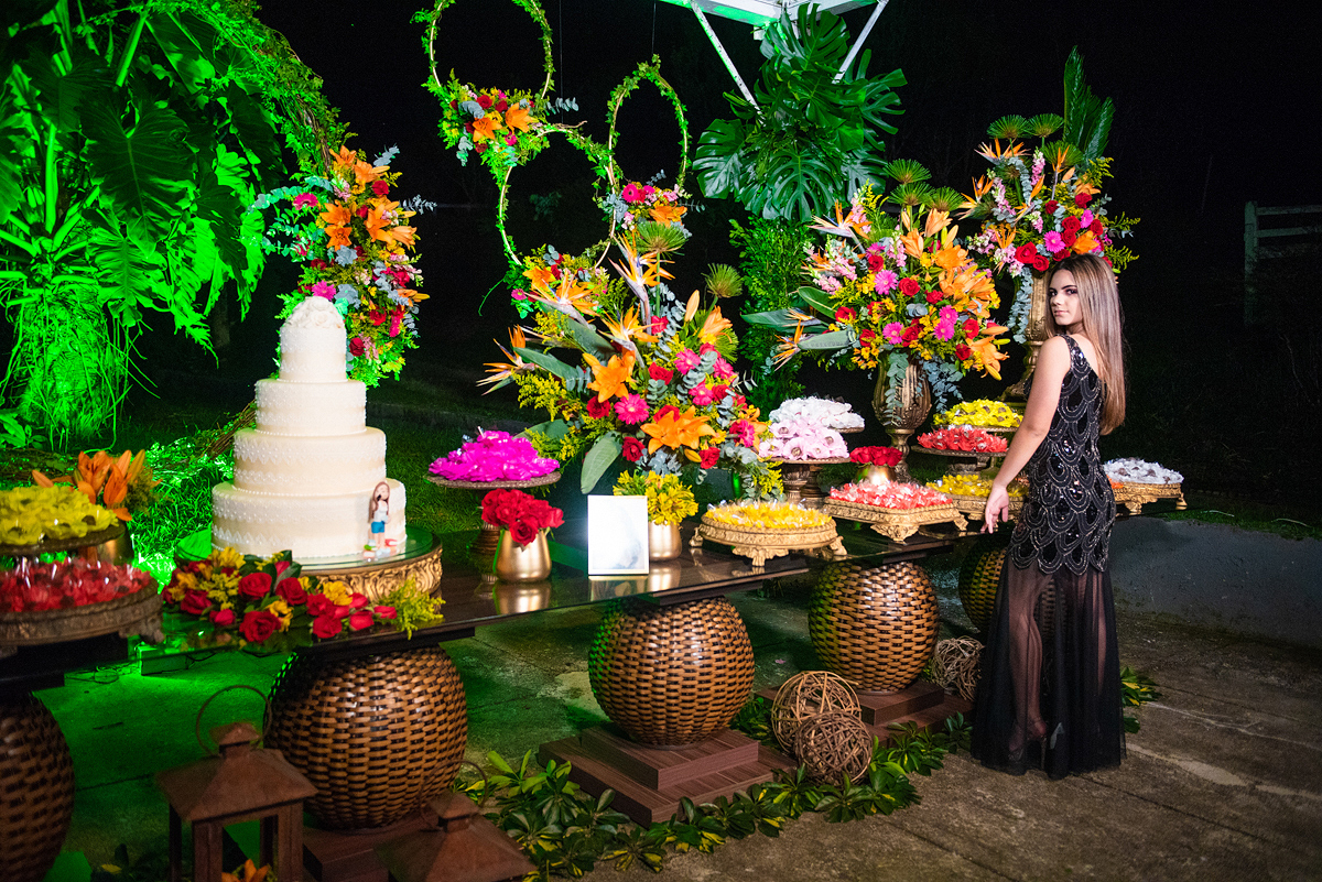 15 anos juiz de fora debutante 2019 festa de 15 anos 15 anos jf