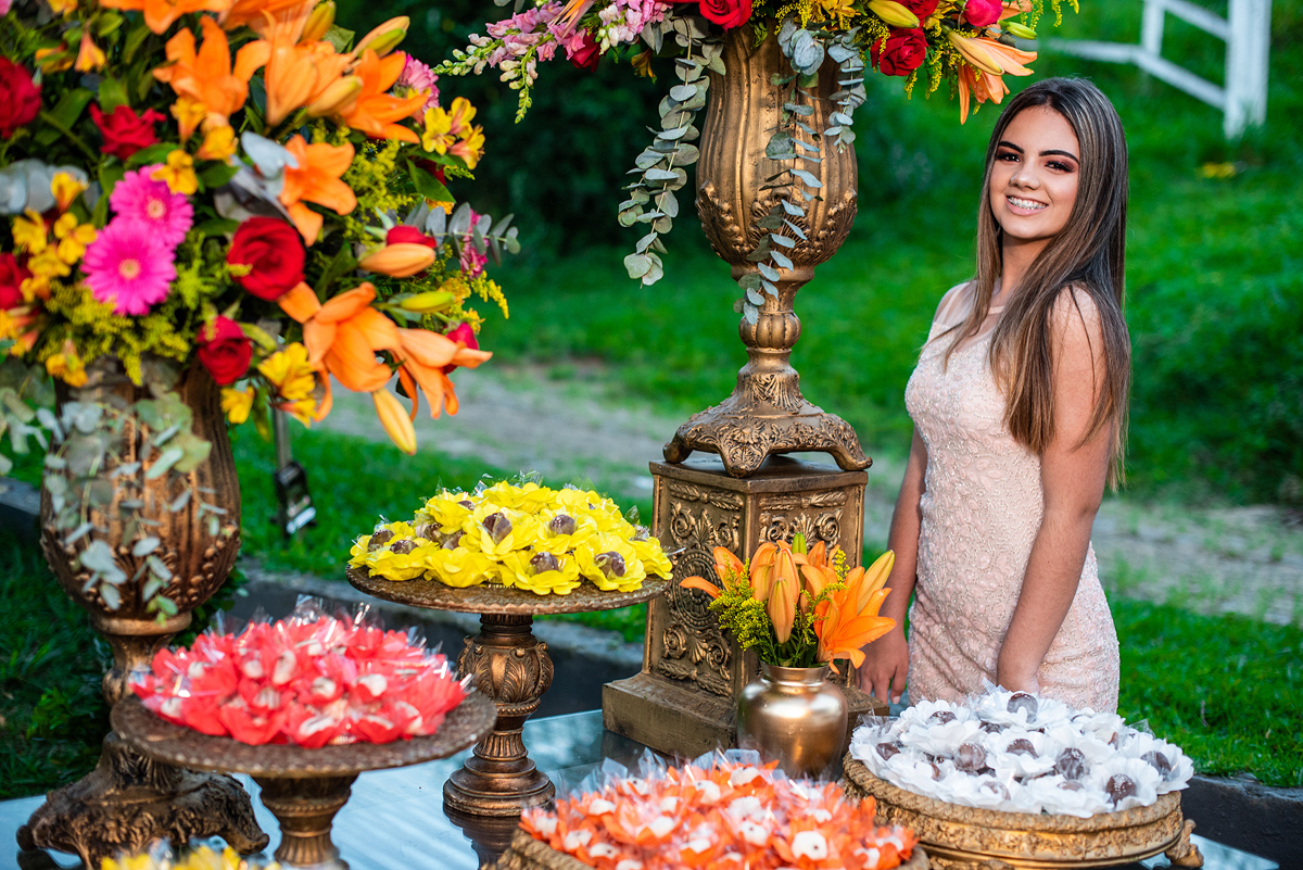 15 anos juiz de fora debutante 2019 festa de 15 anos 15 anos jf