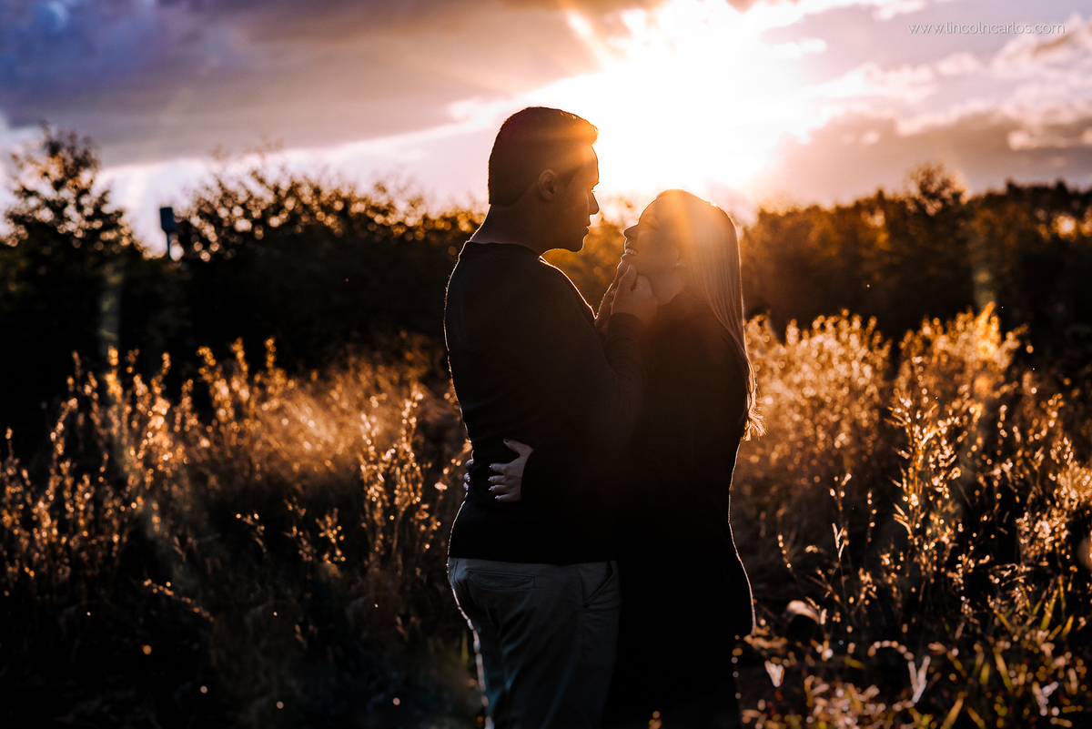 ensaio-de-namorados-com-no-eucalipto-martinho-campos-minas-gerais-lincoln-carlos-fotografo-de-casamento-wedding-bride-pompeu-mg-ensaio-pre-casamento-pre-wedding-pre-casamento

