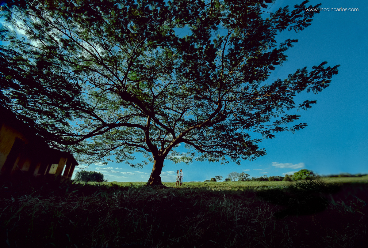 ensaio-pre-casamento-na-fazenda-pre-wedding-na-fazenda-ensaio-de-casal-country