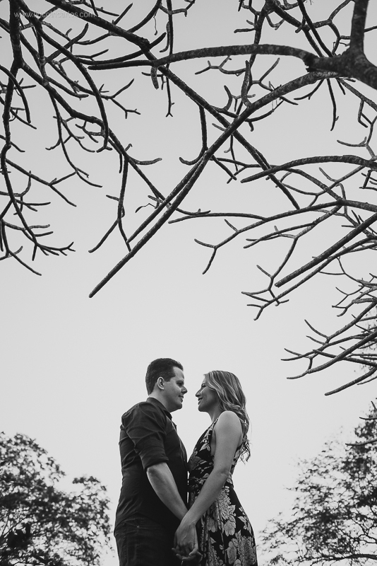 ensaio-pre-casamento-pre-wedding-ensaio-de-casal-arvore-plumeira-rosa-flores-pitangui-martinho-campos-mg-lincoln-carlos